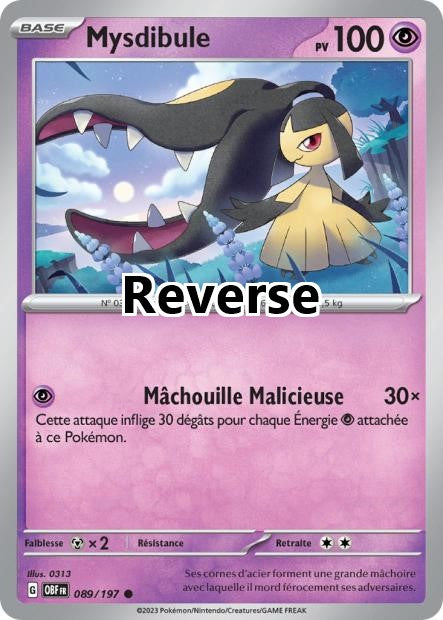 Mysdibule reverse