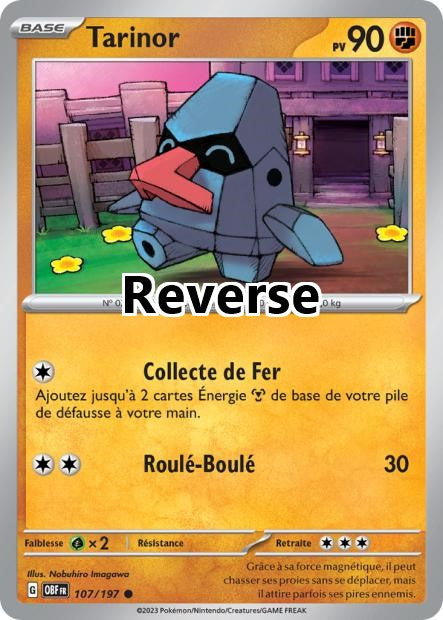 Tarinor reverse