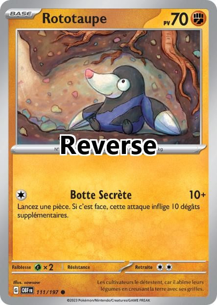 Rototaupe reverse