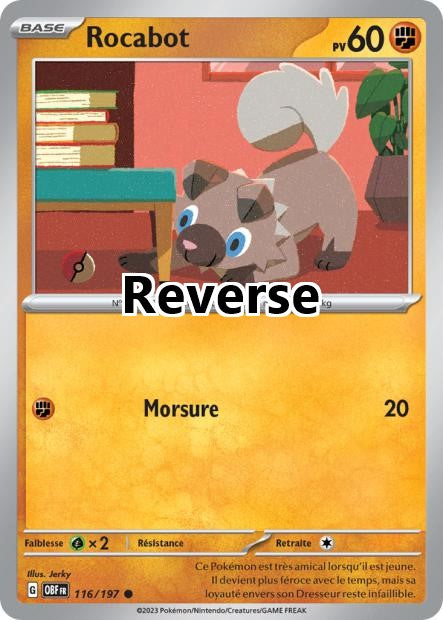 Rocabot reverse