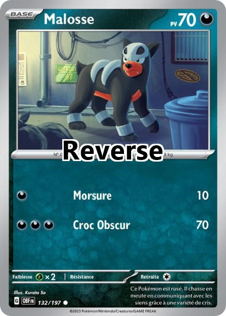 Malosse reverse