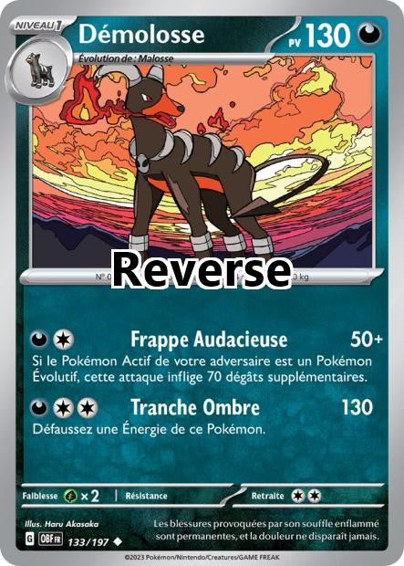 Démolosse reverse