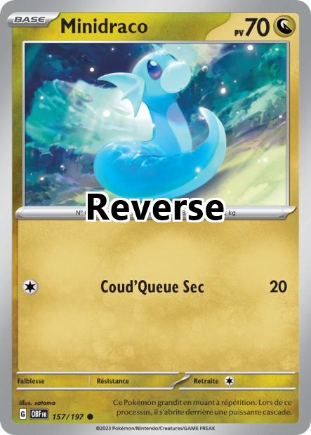 Minidraco reverse