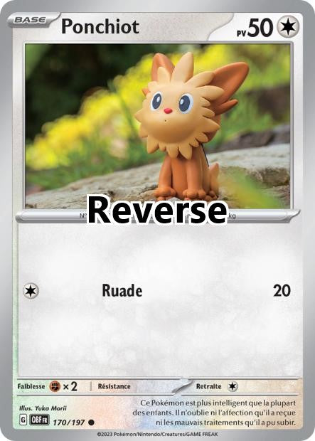 Ponchiot reverse