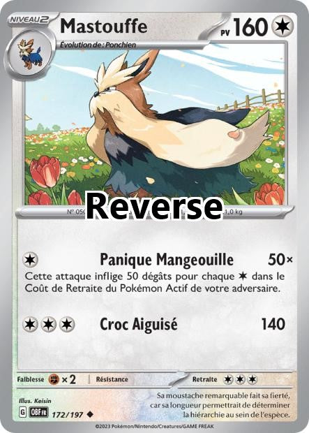 Mastouffe reverse