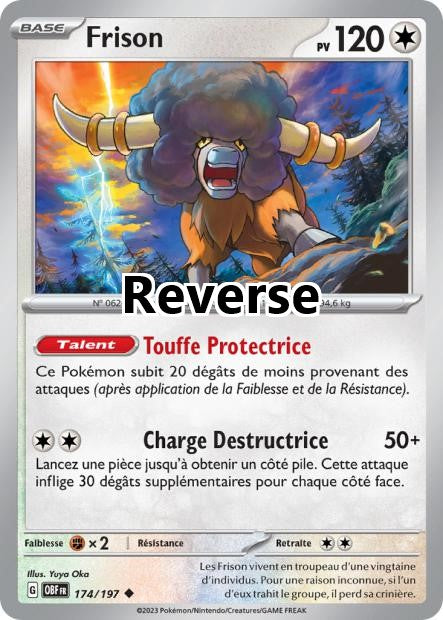 Frison reverse