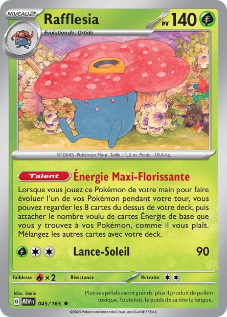 Rafflesia