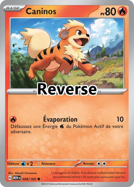 Caninos reverse