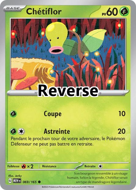 Chétiflor reverse