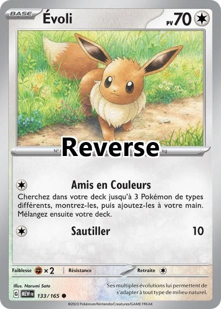 Évoli reverse