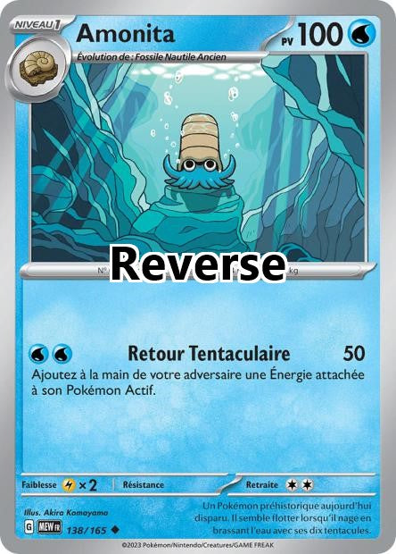 Amonita reverse