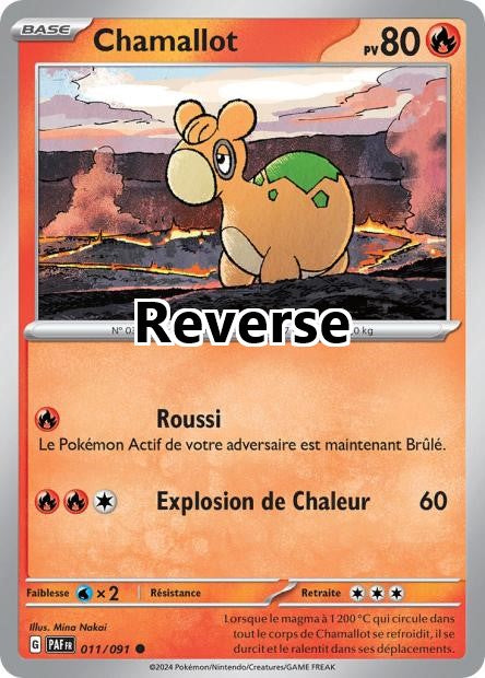 Chamallot reverse