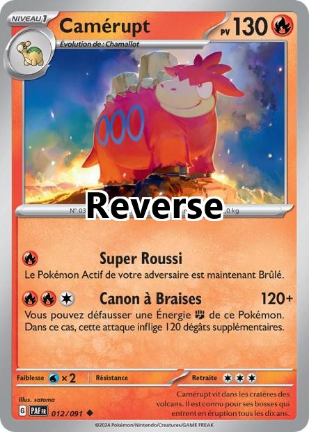 Camérupt reverse