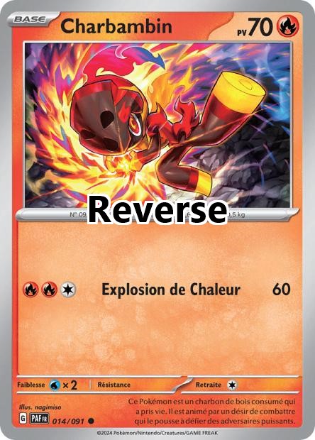 Charbambin reverse