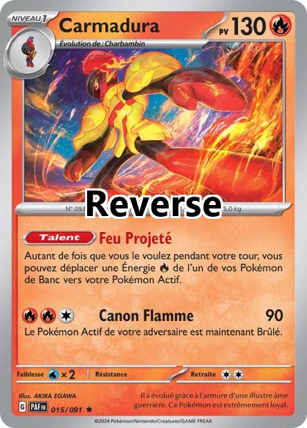 Carmadura reverse