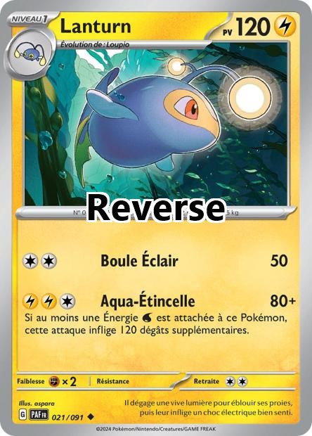 Lanturn reverse
