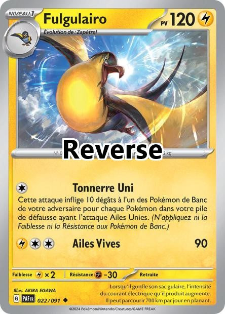 Fulgulairo reverse