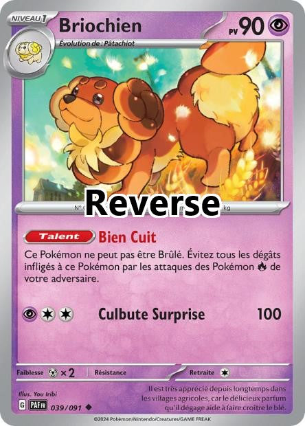 Briochien reverse