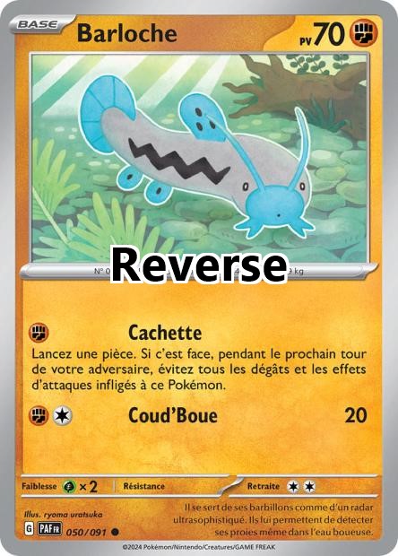 Barloche reverse