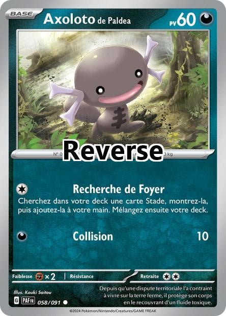 Axoloto de Paldea reverse