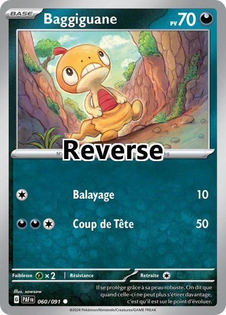 Baggiguane reverse