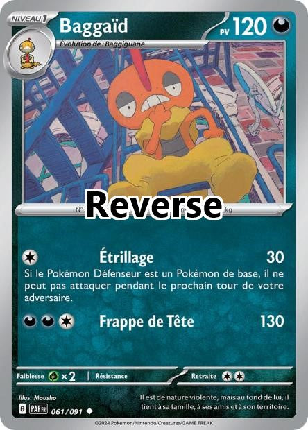 Baggaïd reverse