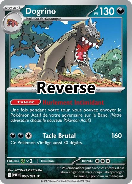 Dogrino reverse