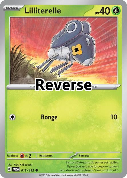 Lilliterelle reverse