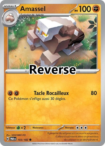 Amassel reverse
