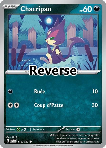 Chacripan reverse