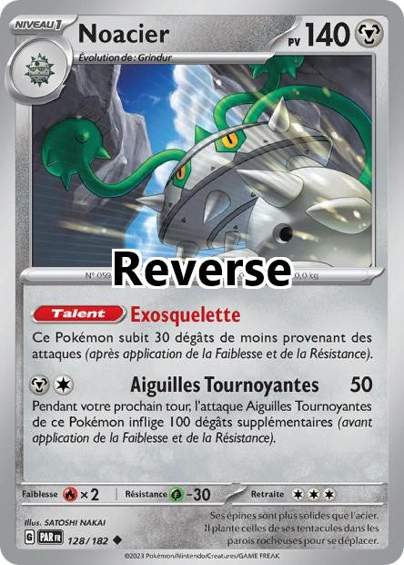 Noacier reverse