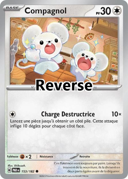 Compagnol reverse